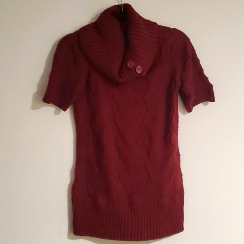 Burgundy Textured Sweater Dress Fall Button Swoop Neck Red